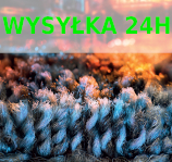 Wysyłka w 24h