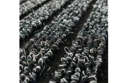 Wycieraczka tekstylna Trio 100x300 cm