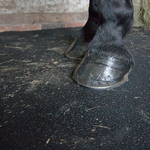 Stablemata 1,2 m x 1,8 m x 12 mm